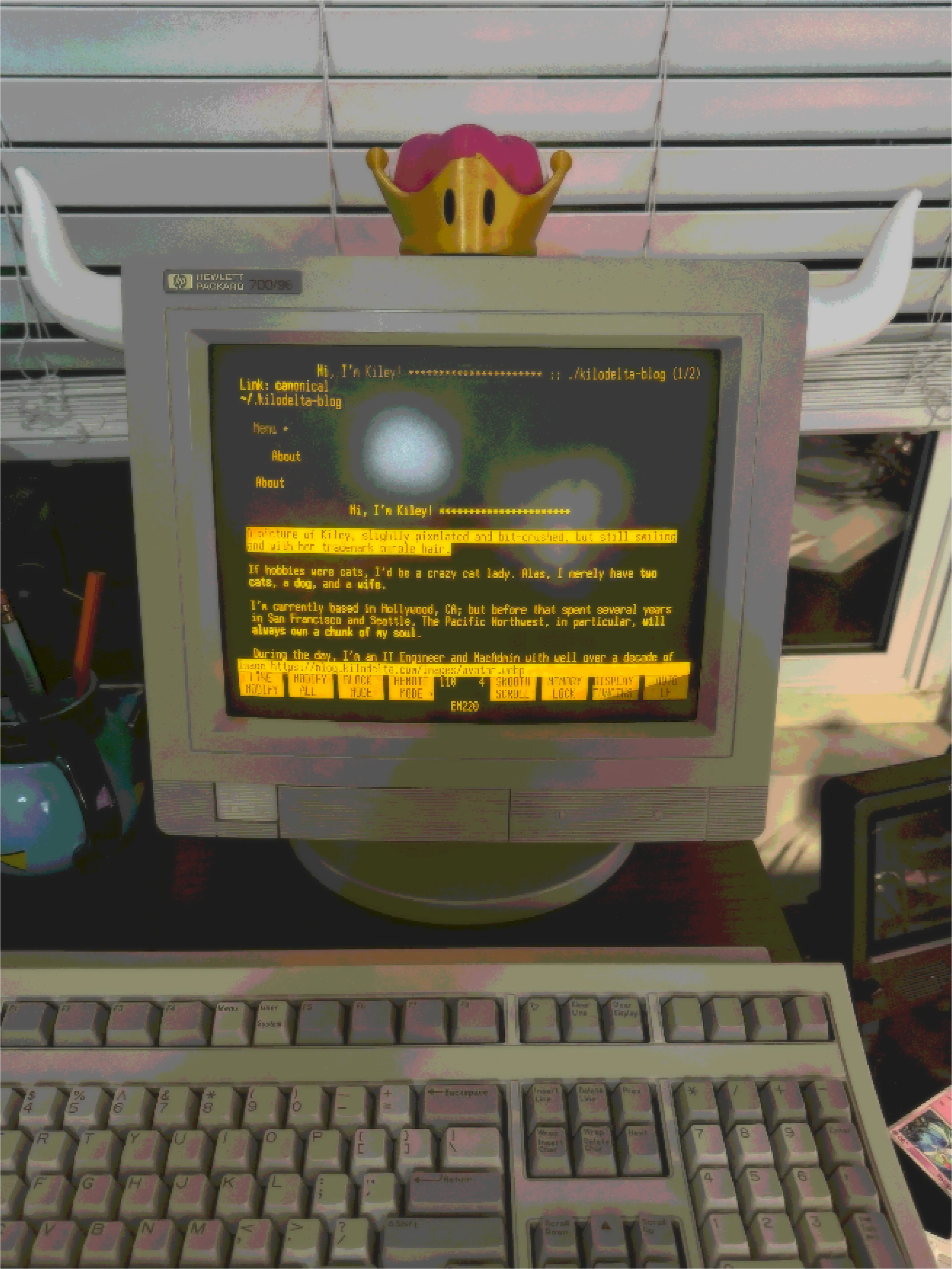 An HP 700/96 terminal with it's keyboard, this webpage displayed in text mode on an amber phosphor screen. The case of the terminal's CRT display sports a Super Crown and Bowsette horns.